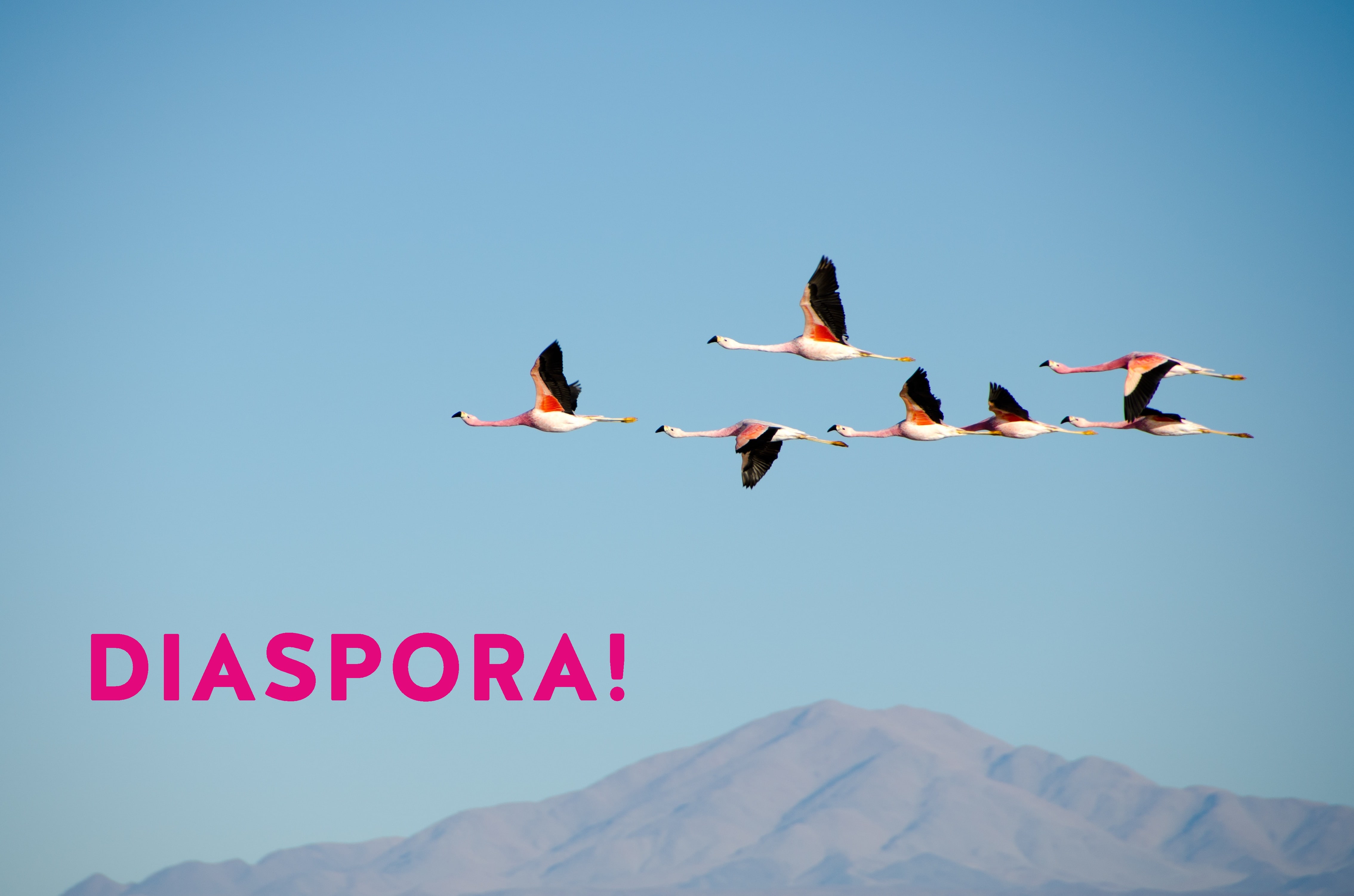 Photo by Shwetha Shankar on Unsplash